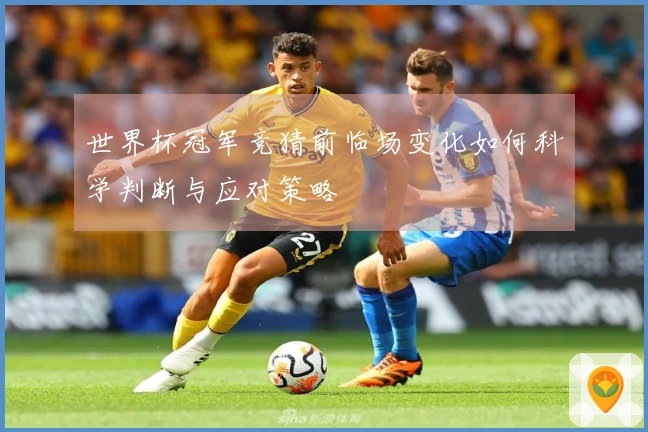 世界杯冠军竞猜前临场变化如何科学判断与应对策略
