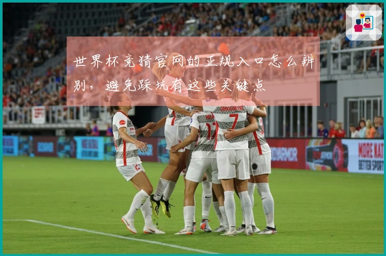 世界杯竞猜官网的正规入口怎么辨别，避免踩坑有这些关键点