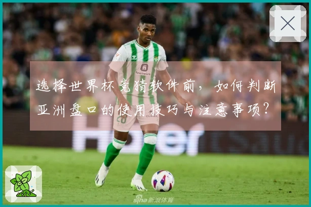选择世界杯竞猜软件前，如何判断亚洲盘口的使用技巧与注意事项？