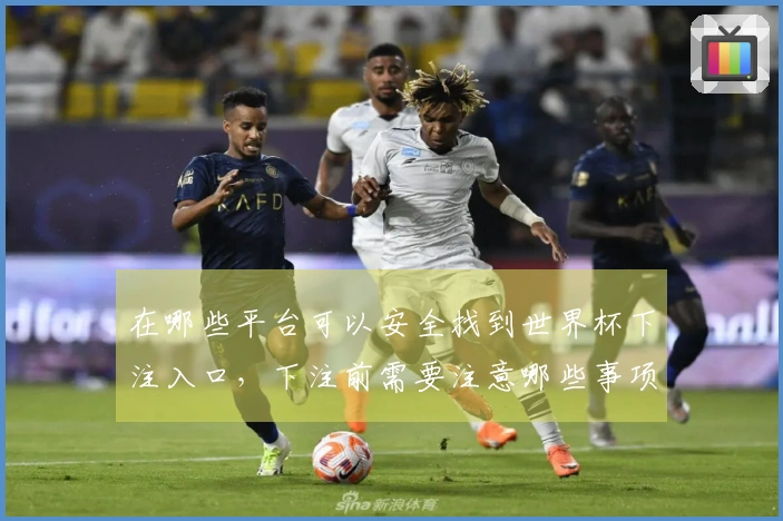 在哪些平台可以安全找到世界杯下注入口，下注前需要注意哪些事项？