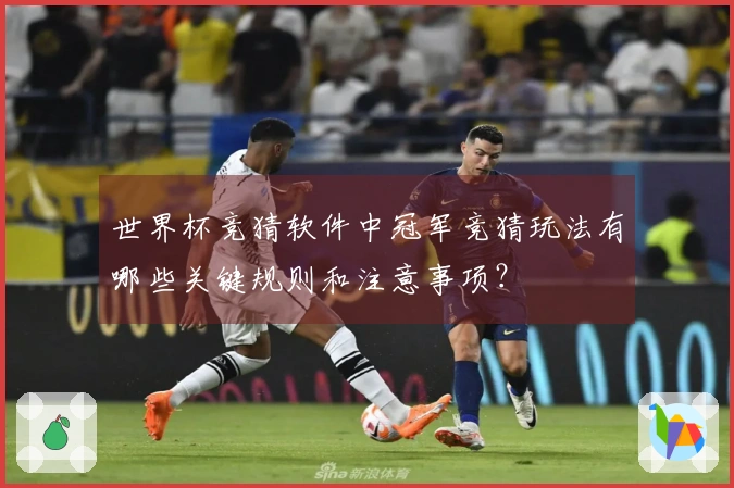 世界杯竞猜软件中冠军竞猜玩法有哪些关键规则和注意事项?