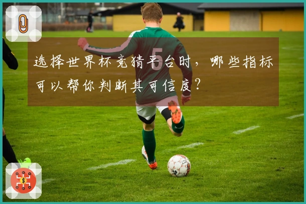 选择世界杯竞猜平台时，哪些指标可以帮你判断其可信度？