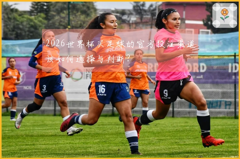 2026世界杯买足球的官方投注渠道该如何选择与判断?