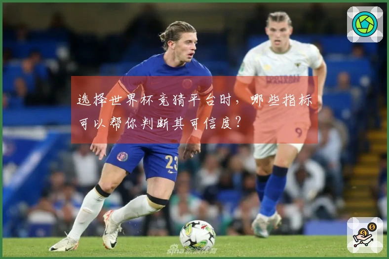 选择世界杯竞猜平台时，哪些指标可以帮你判断其可信度？