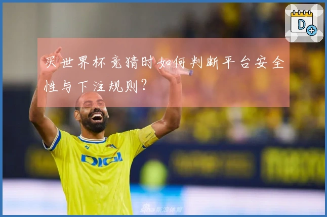 买世界杯竞猜时如何判断平台安全性与下注规则？