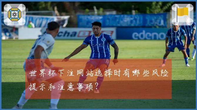 世界杯下注网站选择时有哪些风险提示和注意事项？