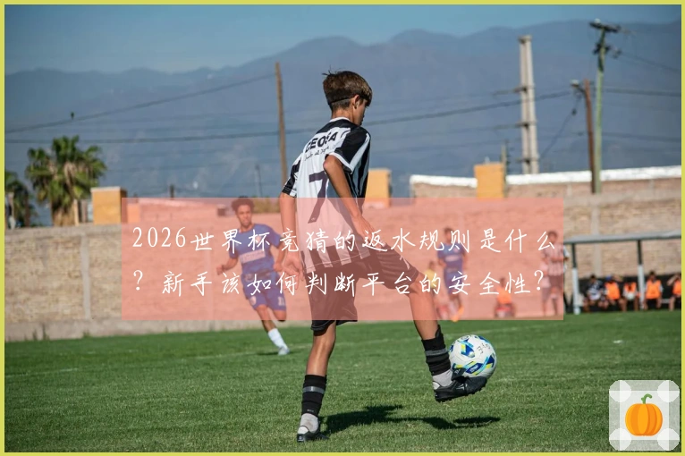 2026世界杯竞猜的返水规则是什么？新手该如何判断平台的安全性？