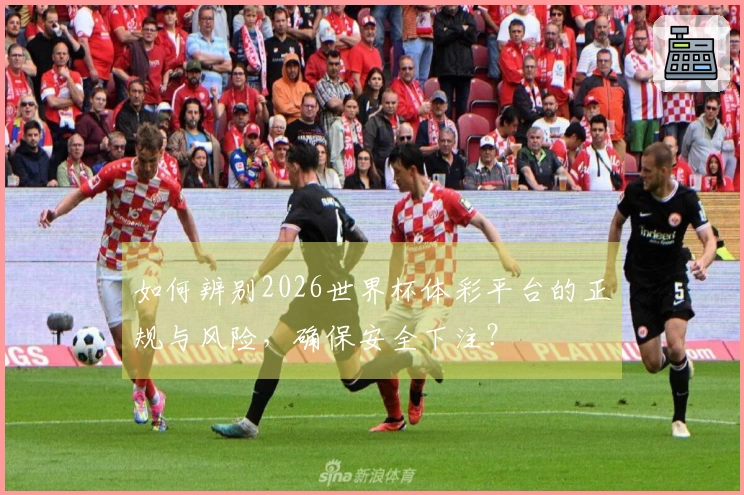 如何辨别2026世界杯体彩平台的正规与风险，确保安全下注？