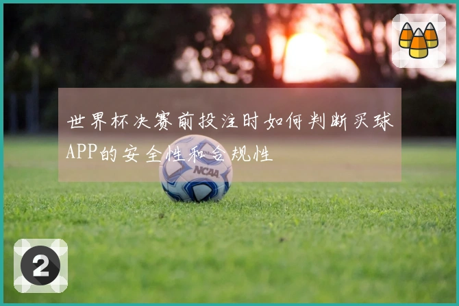 世界杯决赛前投注时如何判断买球APP的安全性和合规性