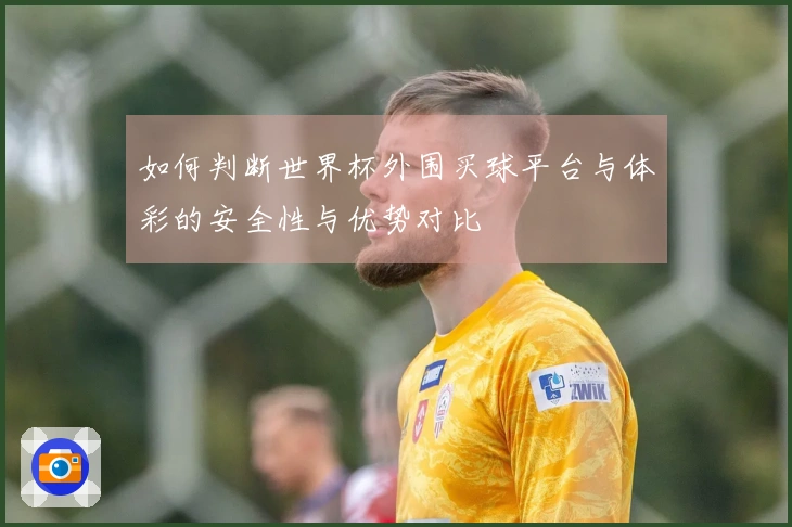 如何判断世界杯外围买球平台与体彩的安全性与优势对比