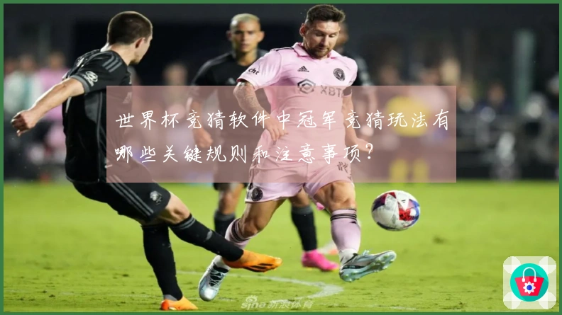 世界杯竞猜软件中冠军竞猜玩法有哪些关键规则和注意事项？