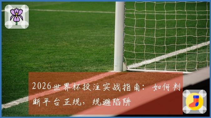 2026世界杯投注实战指南：如何判断平台正规，规避陷阱