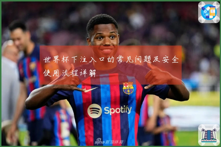 世界杯下注入口的常见问题及安全使用流程详解