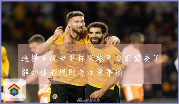选择正规世界杯买球平台前需要了解的体彩规则与注意事项