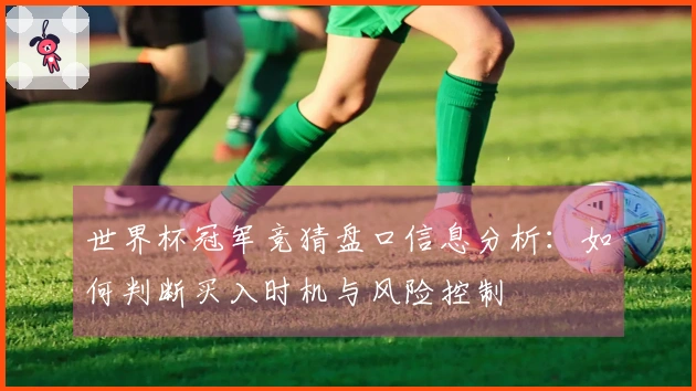 世界杯冠军竞猜盘口信息分析：如何判断买入时机与风险控制