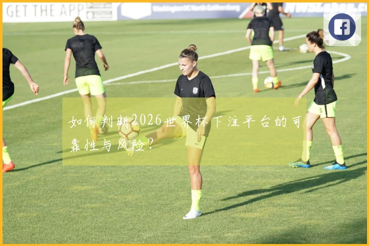 如何判断2026世界杯下注平台的可靠性与风险?