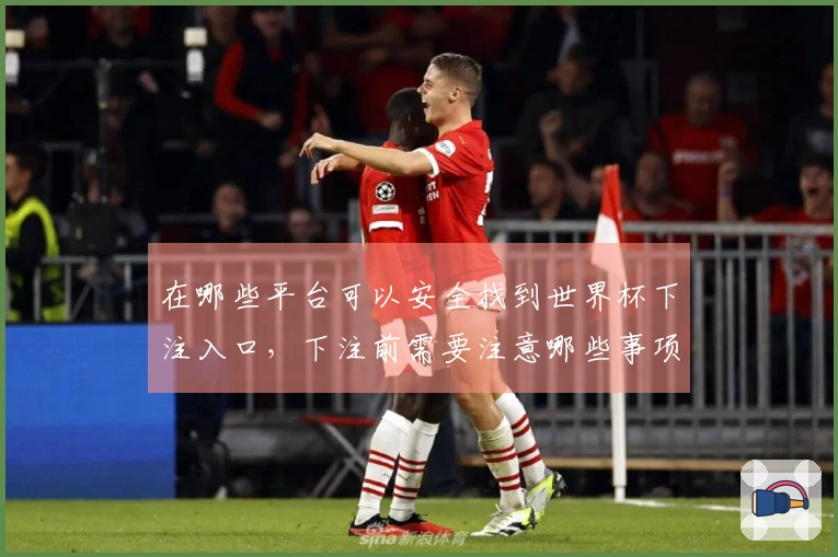 在哪些平台可以安全找到世界杯下注入口,下注前需要注意哪些事项?