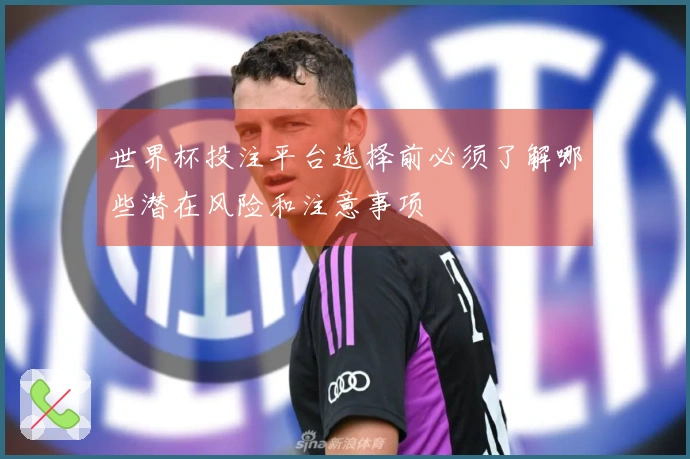 世界杯投注平台选择前必须了解哪些潜在风险和注意事项
