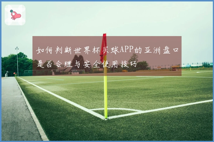 如何判断世界杯买球APP的亚洲盘口是否合理与安全使用技巧