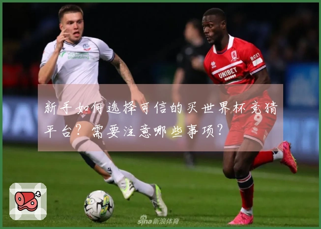 新手如何选择可信的买世界杯竞猜平台?需要注意哪些事项?