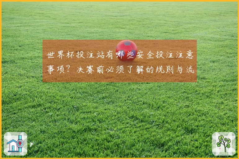 世界杯投注站有哪些安全投注注意事项？决赛前必须了解的规则与流程