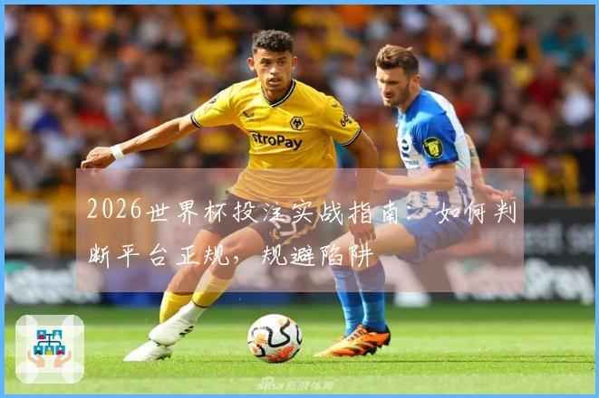 2026世界杯投注实战指南：如何判断平台正规，规避陷阱