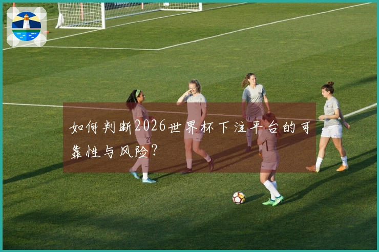 如何判断2026世界杯下注平台的可靠性与风险？