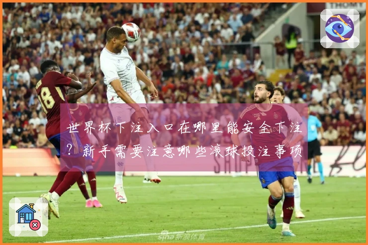 世界杯下注入口在哪里能安全下注?新手需要注意哪些滚球投注事项?