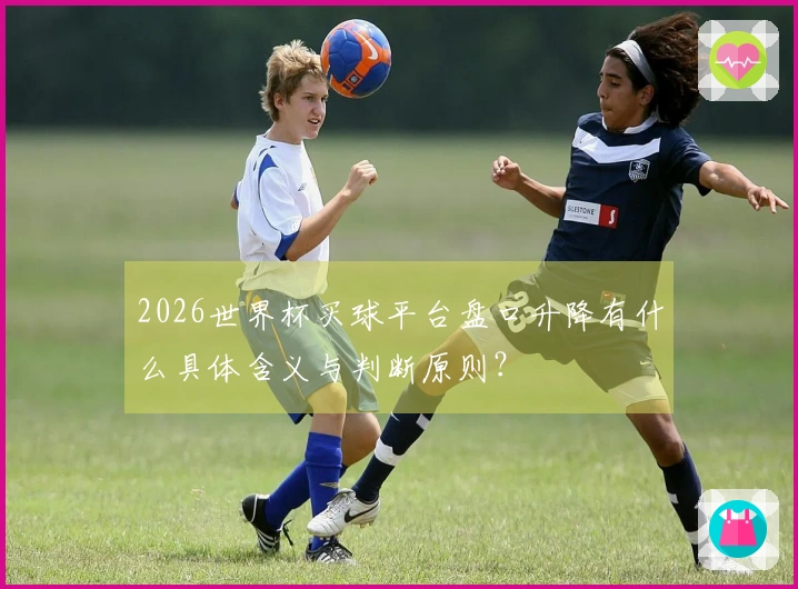 2026世界杯买球平台盘口升降有什么具体含义与判断原则？