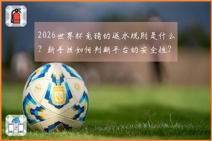 2026世界杯竞猜的返水规则是什么？新手该如何判断平台的安全性？