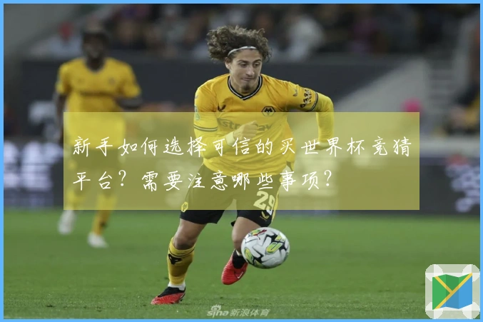 新手如何选择可信的买世界杯竞猜平台？需要注意哪些事项？