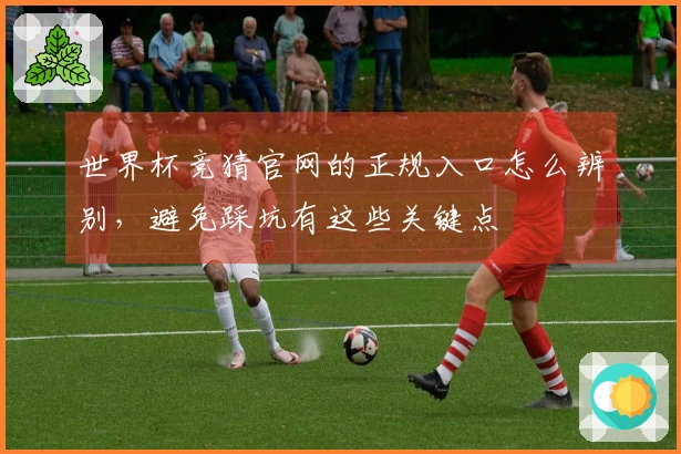 世界杯竞猜官网的正规入口怎么辨别，避免踩坑有这些关键点