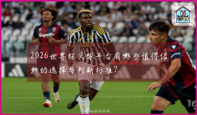 2026世界杯买球平台有哪些值得信赖的选择与判断标准？