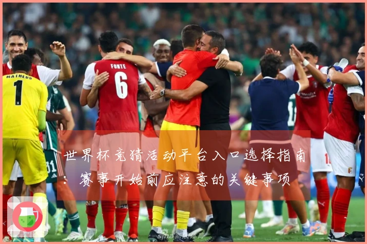 世界杯竞猜活动平台入口选择指南：赛事开始前应注意的关键事项