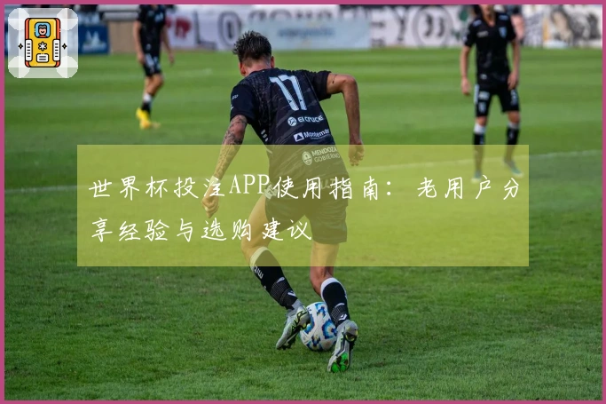 世界杯投注APP使用指南：老用户分享经验与选购建议